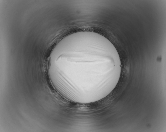 X0000113160658200909251353