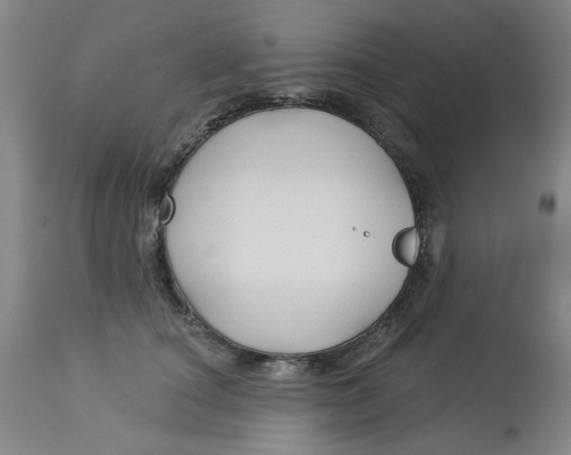 X0000113160660200909251353