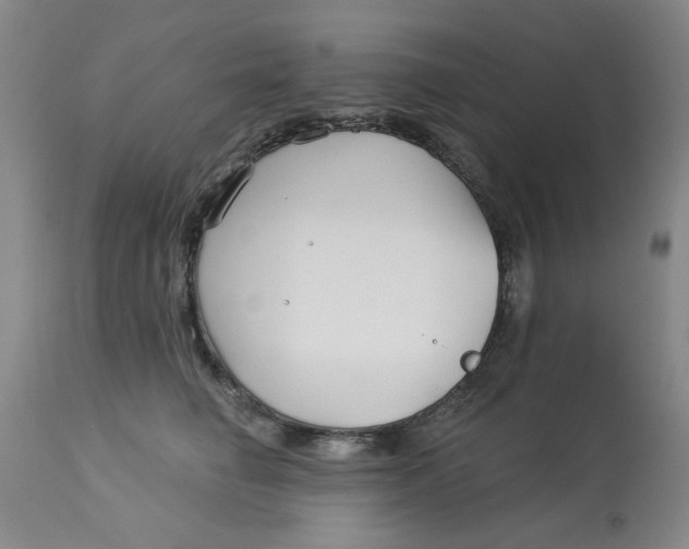 X0000113160662200909251353