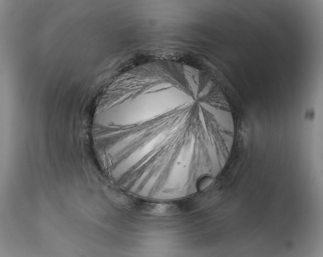 X0000113160663200909251353