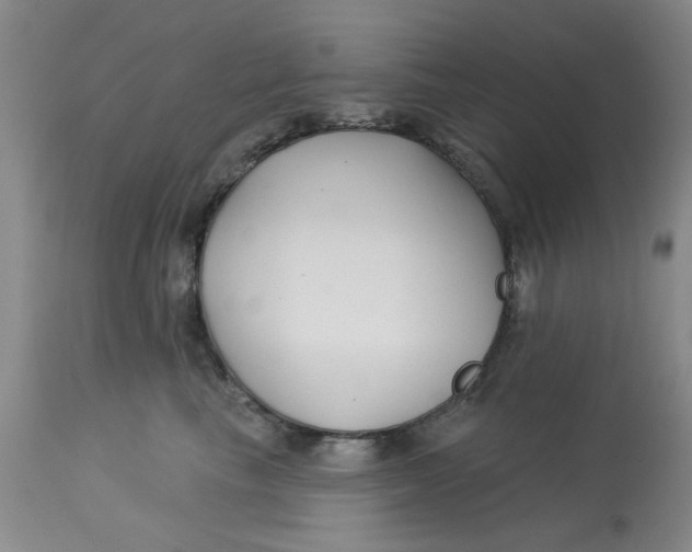 X0000113160665200909251353