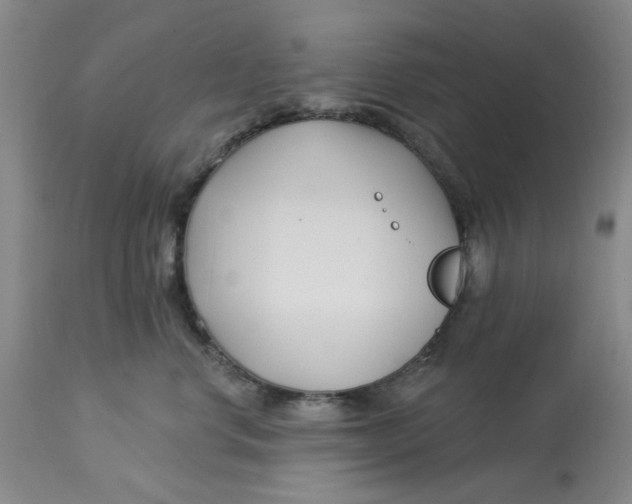 X0000113160668200909251353