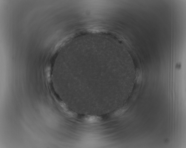 X0000113160670200909251353