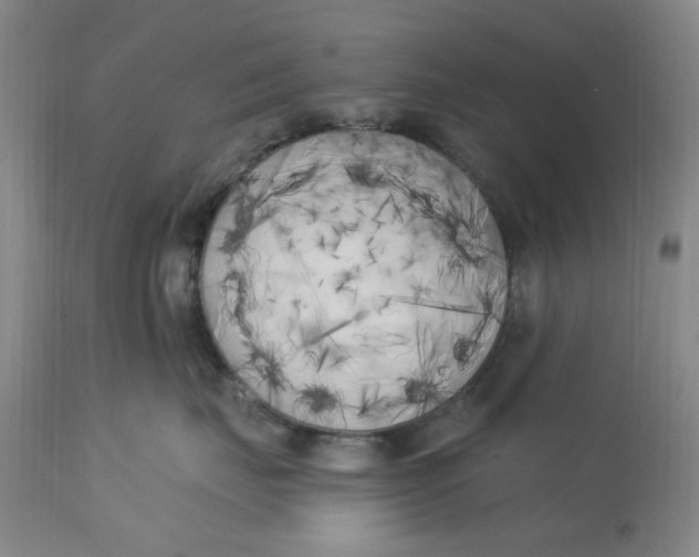 X0000113160671200909251353