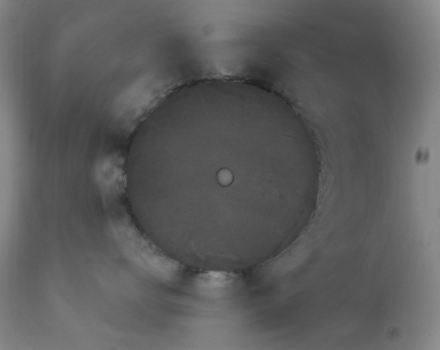 X0000113160672200909251353