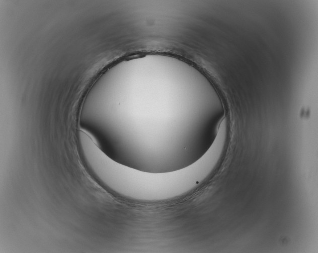 X0000113160673200909251352