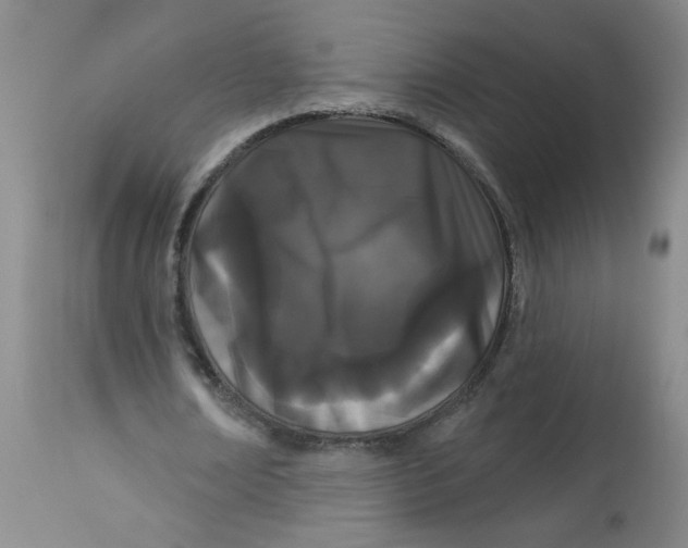 X0000113160674200909251352