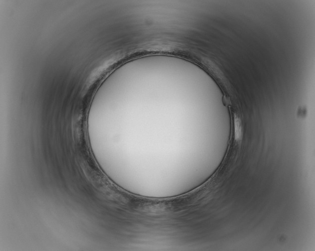 X0000113160675200909251352