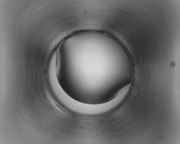 X0000113160677200909251352