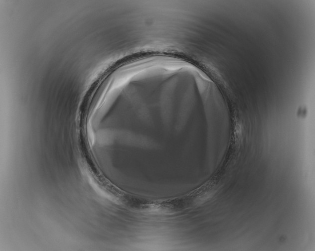 X0000113160678200909251352