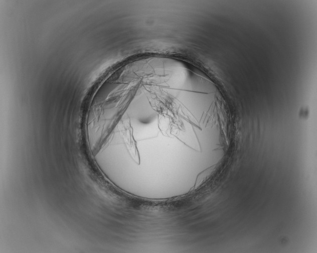 X0000113160679200909251352