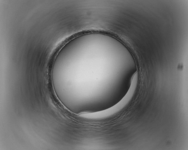 X0000113160680200909251352