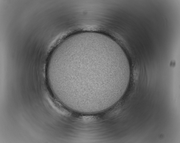 X0000113160686200909251352