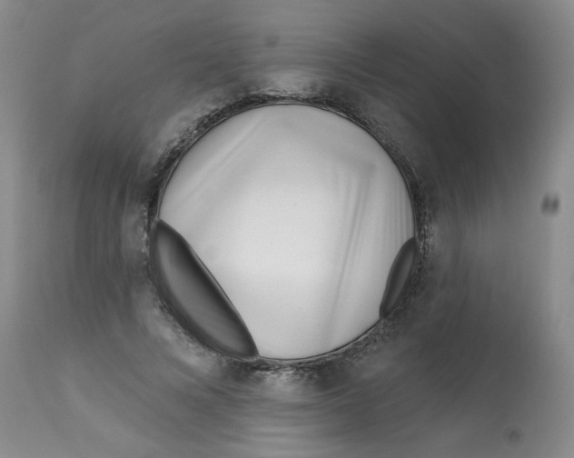 X0000113160688200909251352