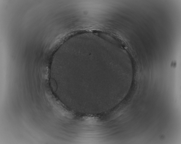 X0000113160689200909251352