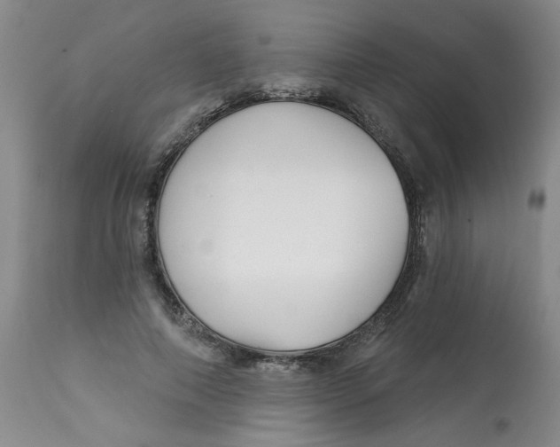 X0000113160690200909251352