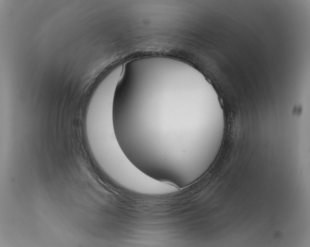 X0000113160692200909251352