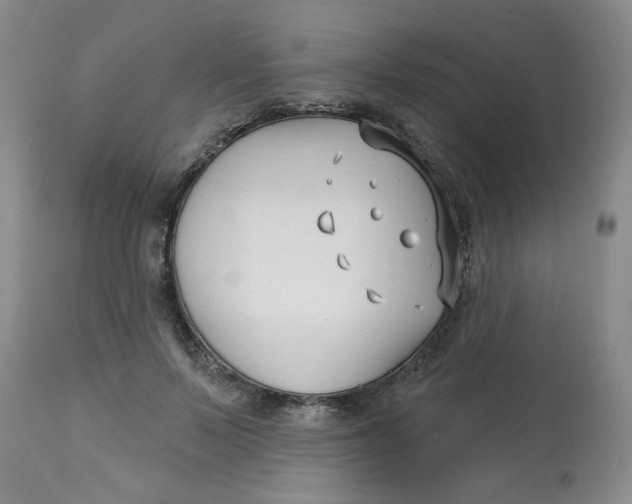 X0000113160695200909251352