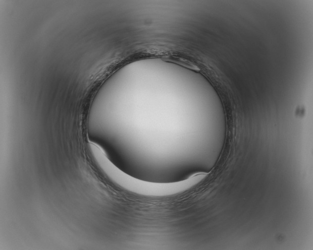 X0000113160696200909251352