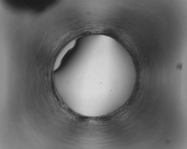 X0000113160697200909251352