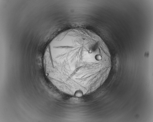 X0000113160699200909251352