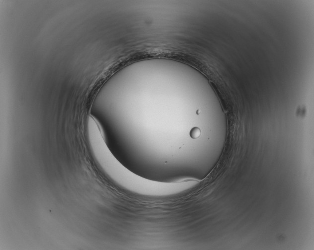 X0000113160700200909251352