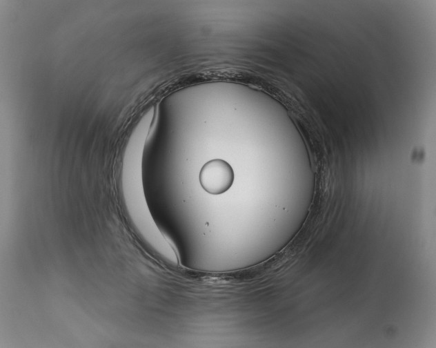 X0000113160701200909251352