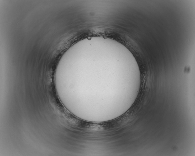 X0000113160702200909251352