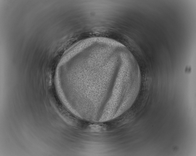 X0000113160703200909251352