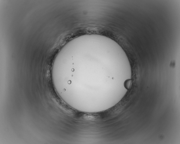 X0000113160706200909251352