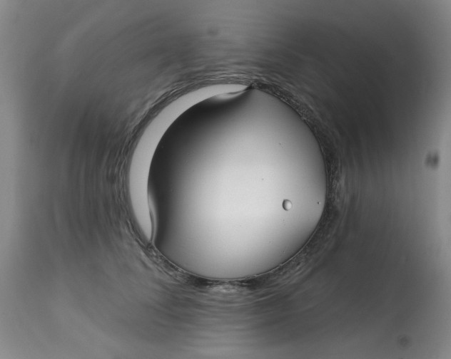 X0000113160708200909251352