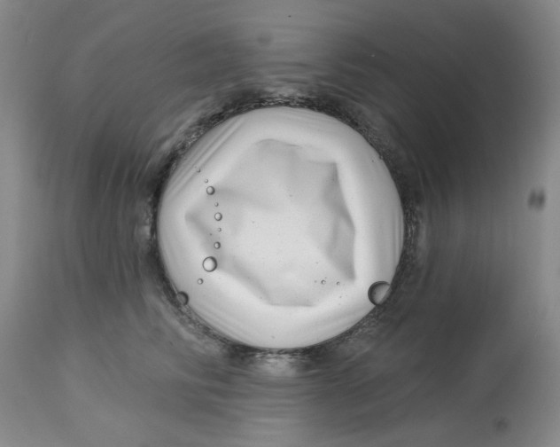 X0000113160710200909251352