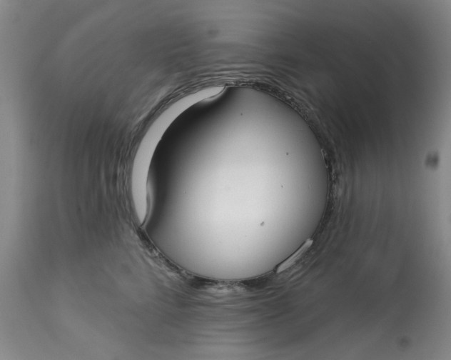 X0000113160712200909251352