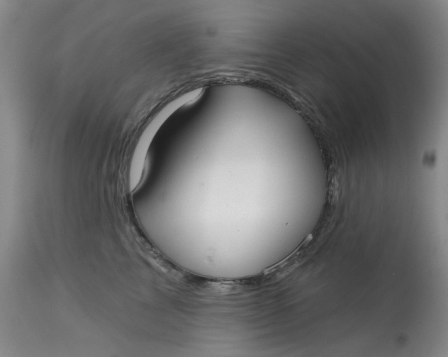 X0000113160713200909251352