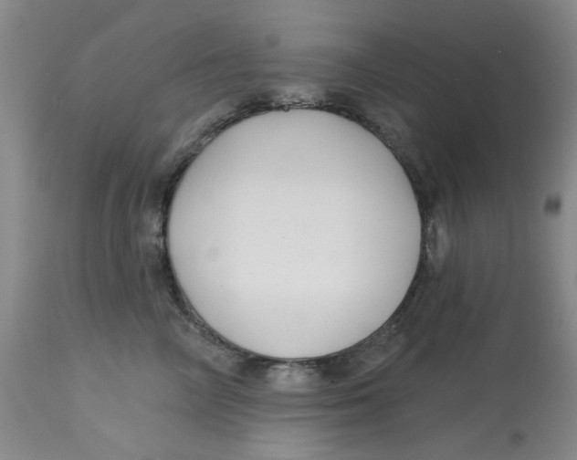 X0000113160714200909251352