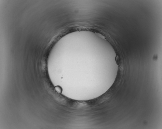 X0000113160715200909251352