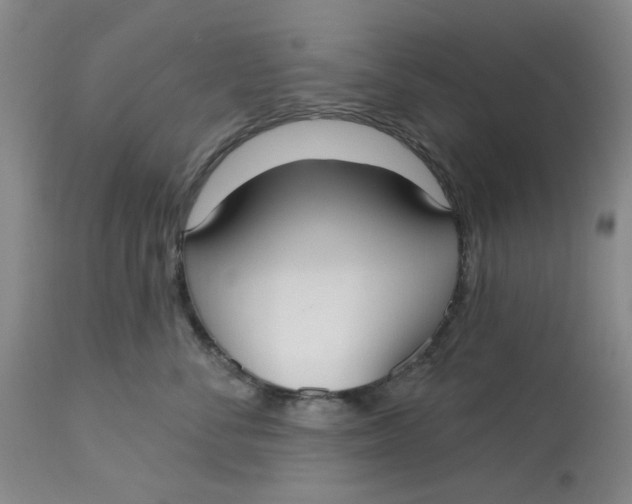 X0000113160716200909251352