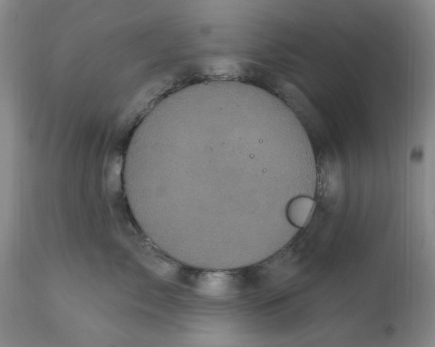 X0000113160717200909251352