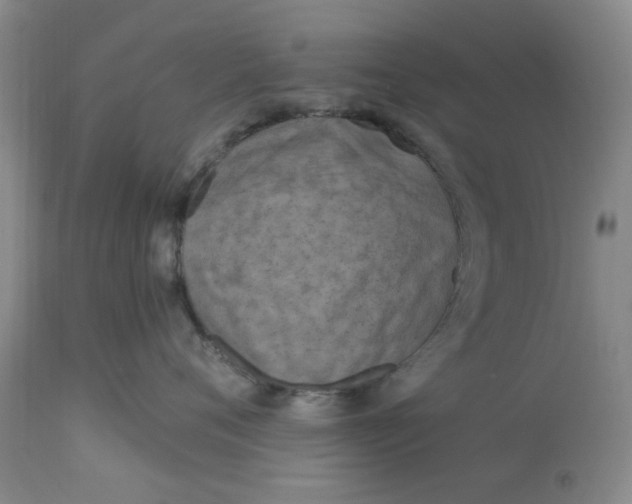 X0000113160720200909251352