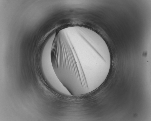 X0000113160722200909251351