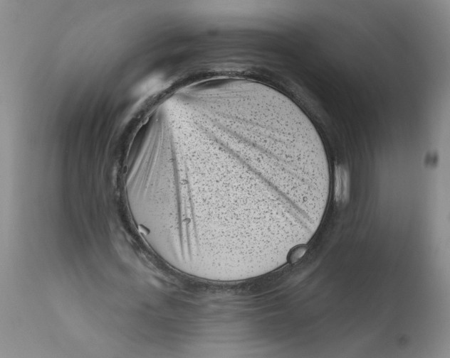 X0000113160723200909251351