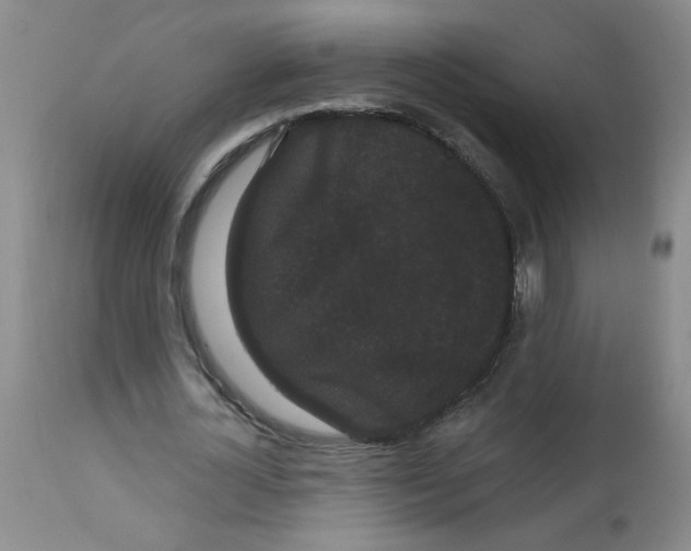 X0000113160724200909251351