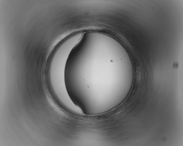 X0000113160726200909251351