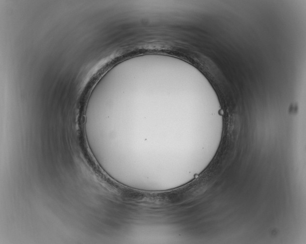 X0000113160727200909251351