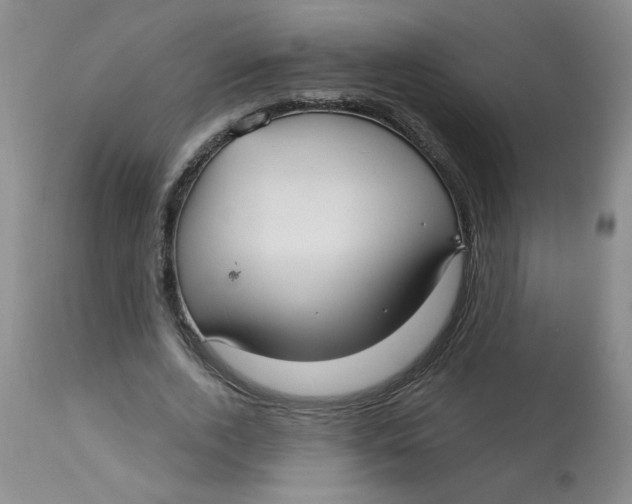 X0000113160728200909251351