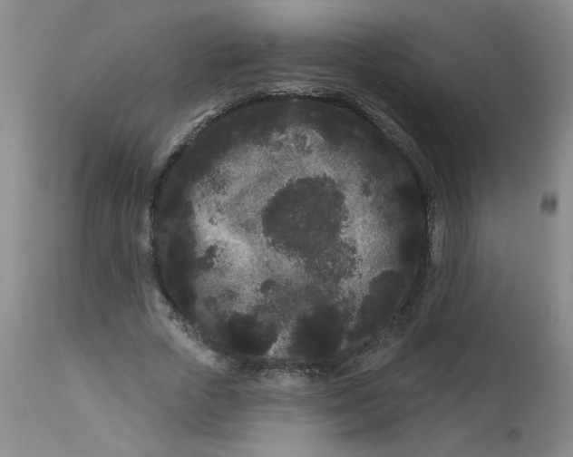 X0000113160729200909251351