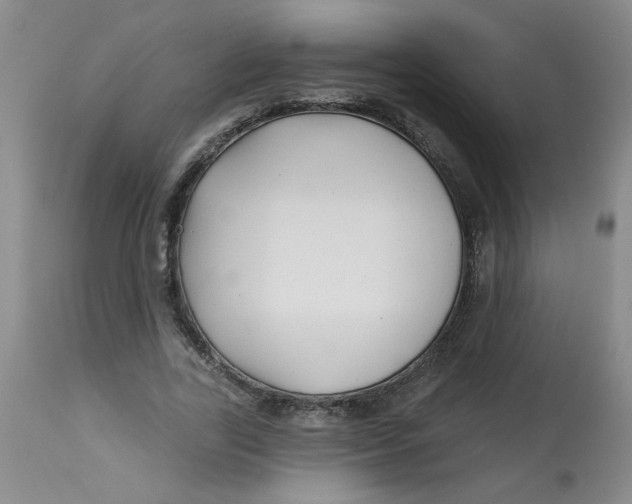 X0000113160731200909251351