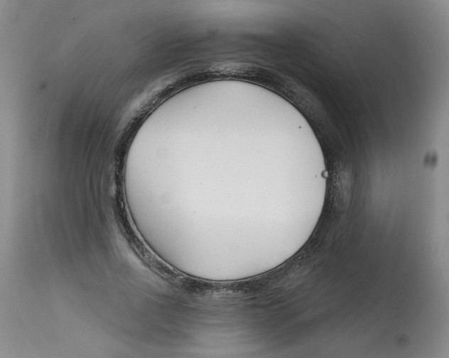 X0000113160734200909251351