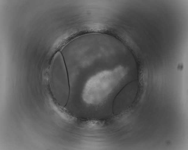 X0000113160736200909251351