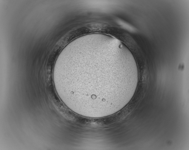 X0000113160737200909251351